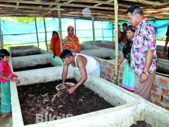 ট্রাইকো কম্পোষ্ট সার   (Tricho-Compost Fertilizer)